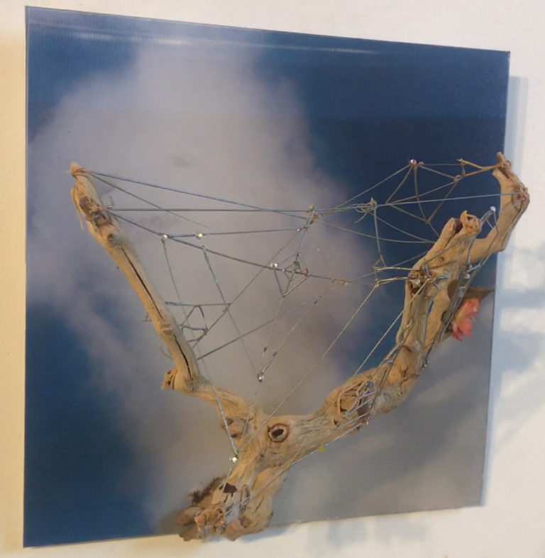 Spider Web and Cloud